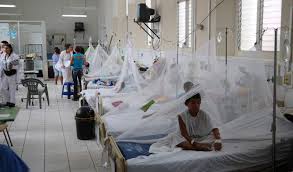 [Audio] Servicios de salud están con menos carga por casos de dengue