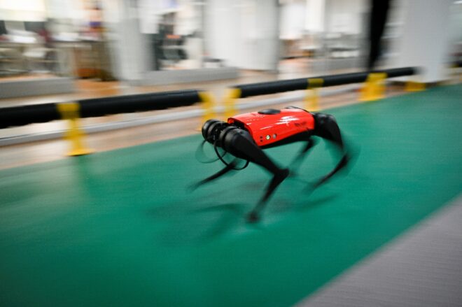Los perros-robot, el último grito tecnológico en China