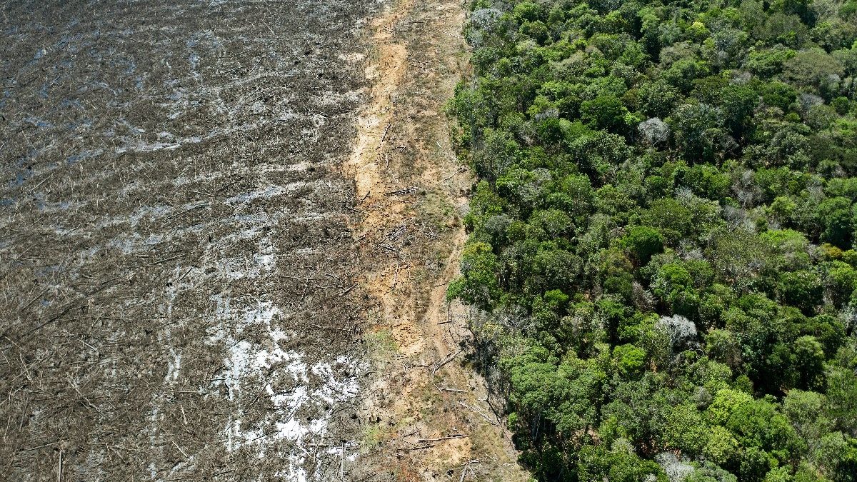 Un 94% de la deforestación en la Amazonía de Brasil es ilegal, según informe