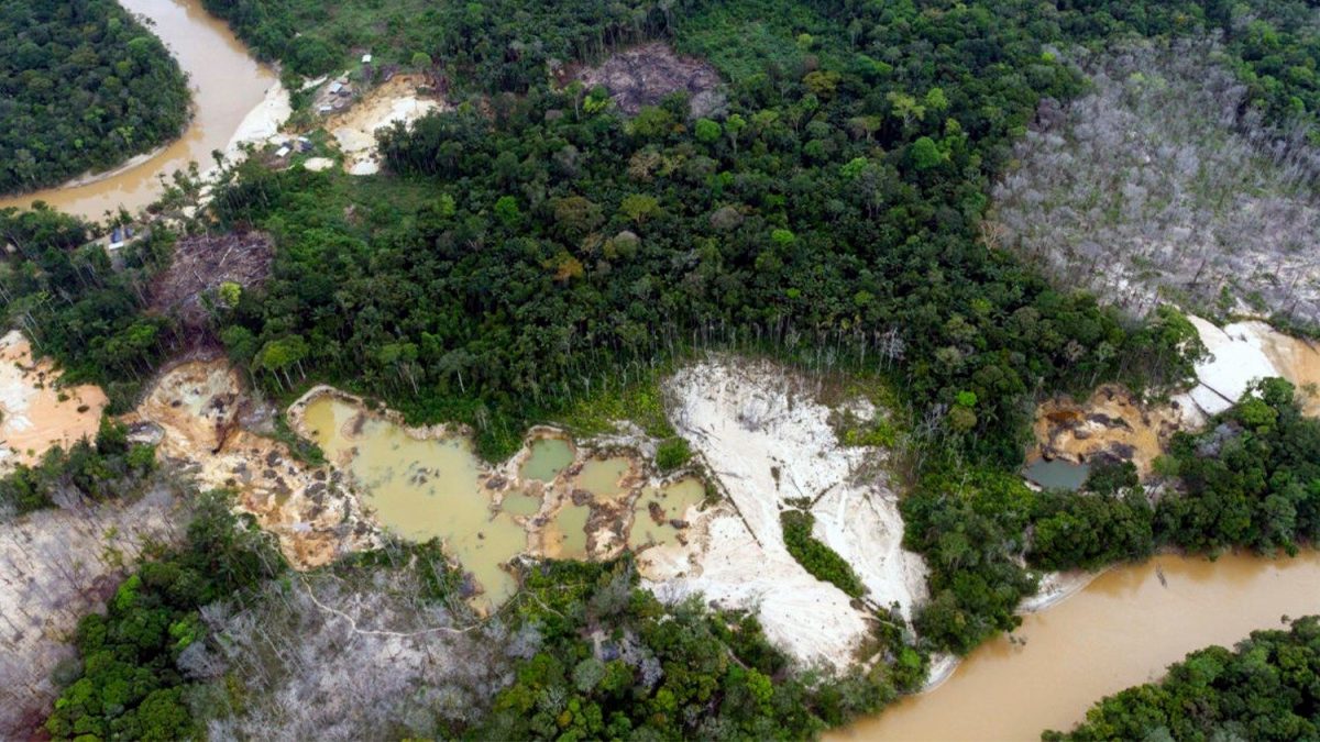 Incendios y deforestación: factores que amenzan el equilibrio en la Amazonía