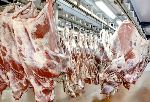 Proceso de exportación de carne a Estados Unidos está muy avanzado