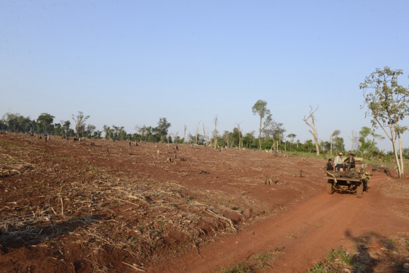 Unión Europea ya no recibirá producción de zonas deforestadas