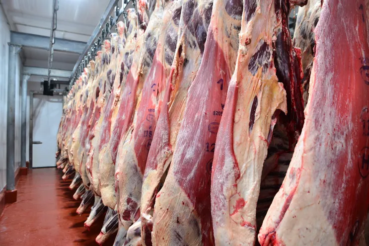 Gobierno desatendió sector ganadero y Paraguay sale del Top 10 de exportación de carne