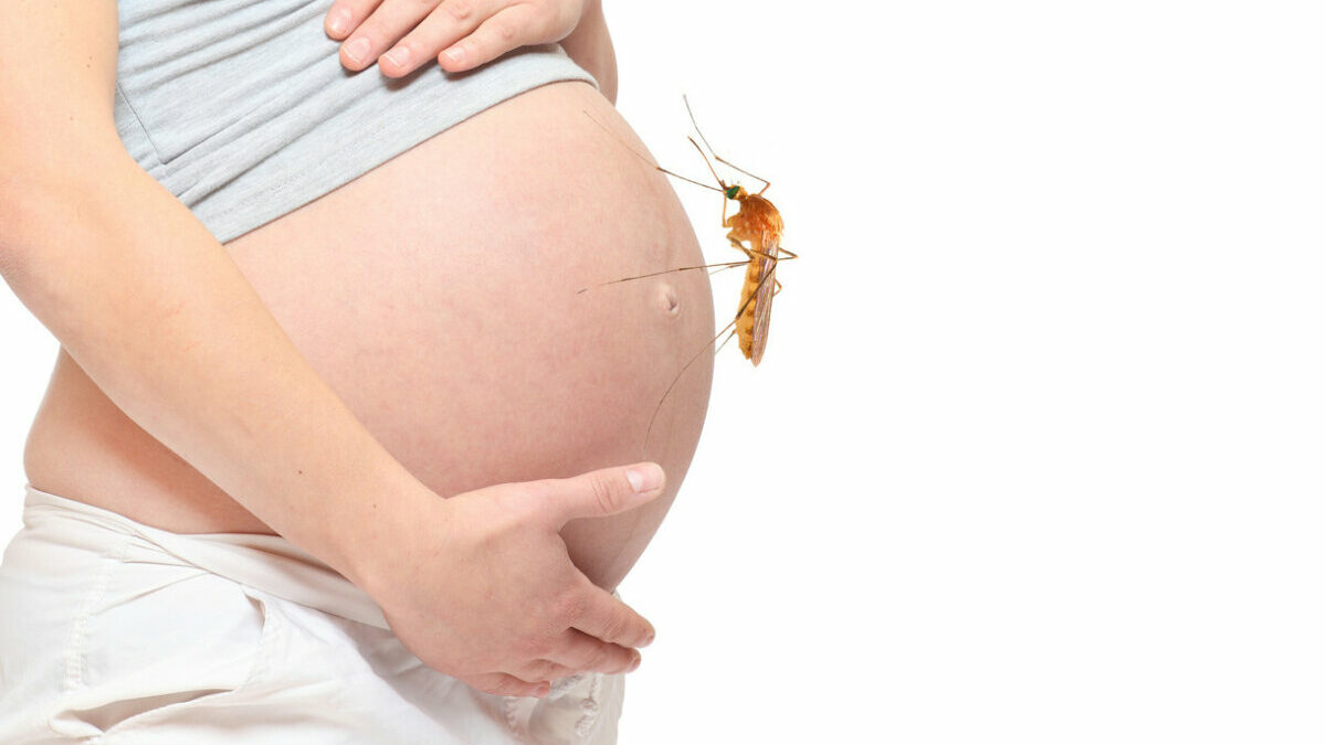 Embarazadas deben tener cuidados especiales ante ola de chikungunya