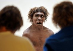 Los neandertales oían tan bien como el homo sapiens, según un estudio
