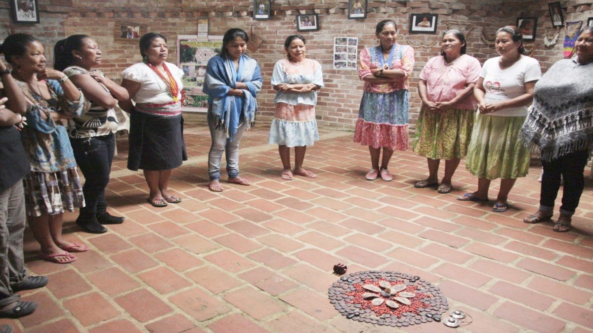 Profesor de la Gregoriana: Querida Amazonia necesita más divulgación
