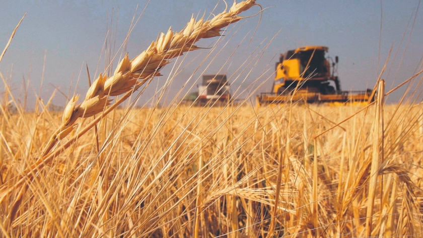 La economía agrícola repuntará tras la próxima cosecha