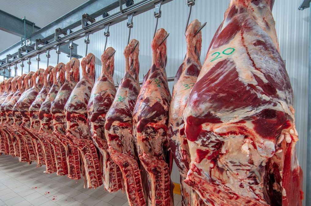 Paraguay cada vez más cerca de exportar carne a Estados Unidos