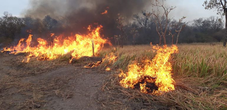 Ingresa la temporada de incendios y bomberos piden evitar las quemas