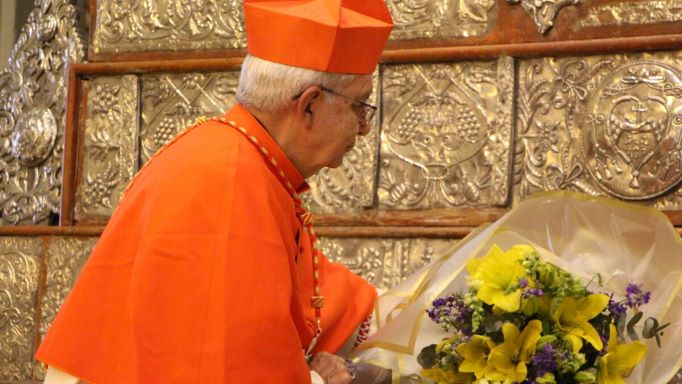 Cardenal tomará posesión de título cardenalicio en Roma