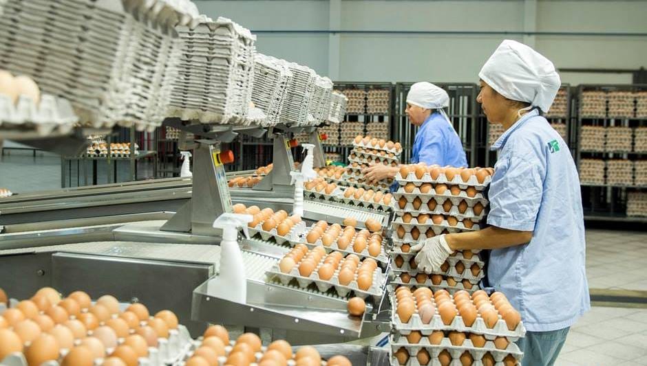 Niegan «rotundamente» desabastecimiento de huevos y especulación de precios