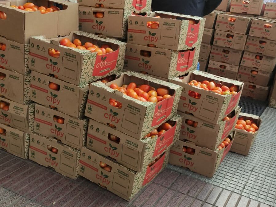 Éxito rotundo en la Feria de Productores de Tomates