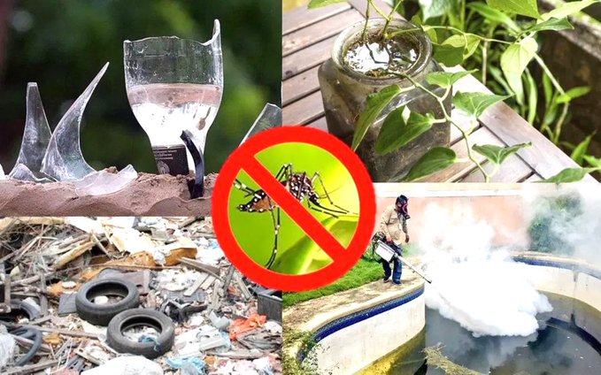 Solicitan colaborar para eliminar los criaderos de mosquitos y evitar automedicación
