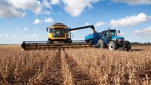 Productores de soja prefieren no comercializar con “mercados cerrados”