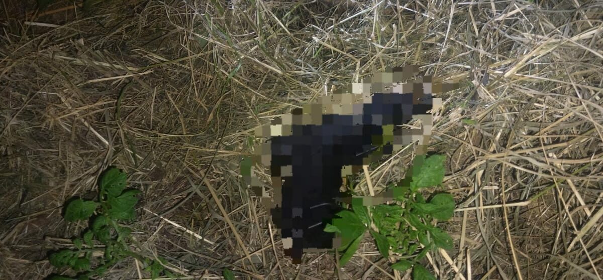 Policía abatió a presunto delincuente en Fernando de la Mora