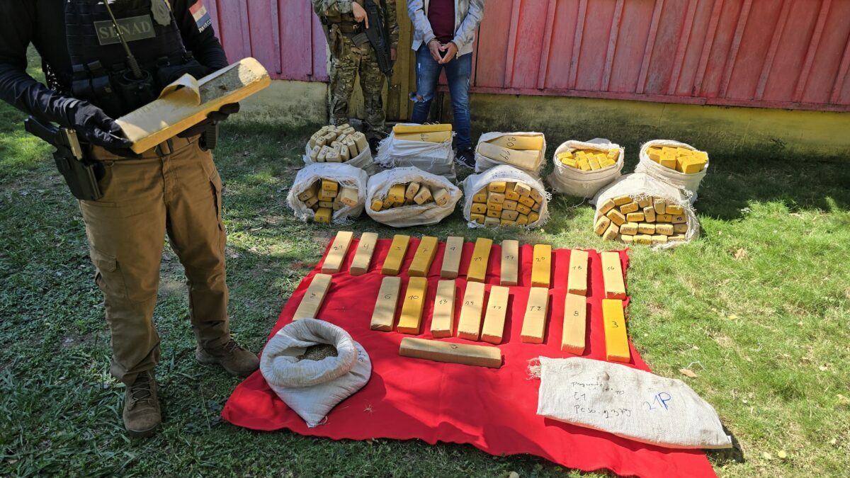Incautan casi un cuarto de tonelada de droga en Concepción