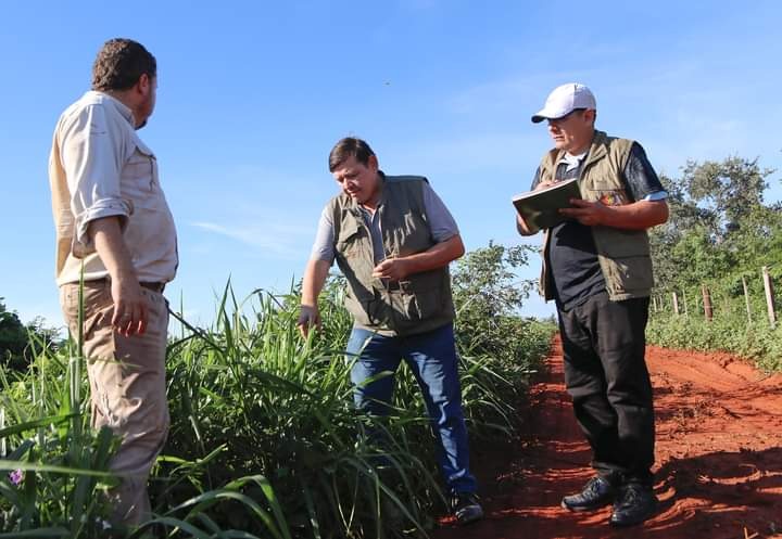 Denuncian cifras infladas en titulaciones de tierras del INDERT