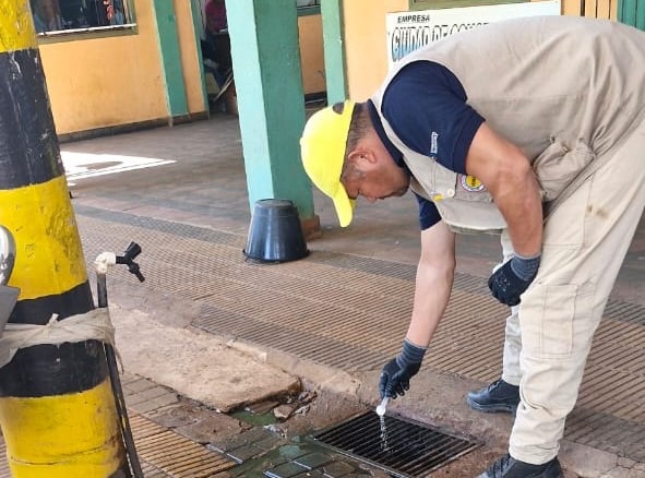 Mayoría de barrios son zonas de riesgo por mosquitos