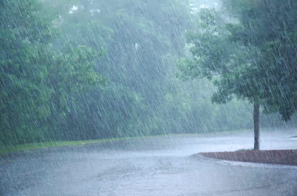 Frente frío y lluvias llegan esta medianoche