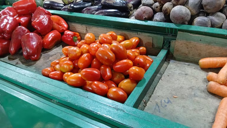 Productores aseguran que hay tomate nacional suficiente