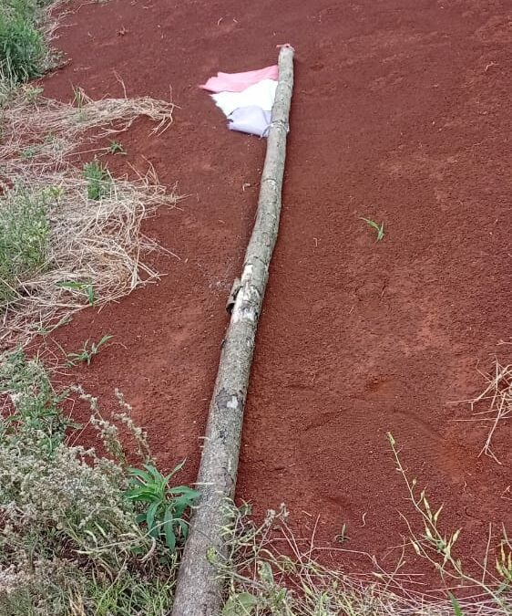 Violento desalojo y ataques de hombres armados en zona de Karapá