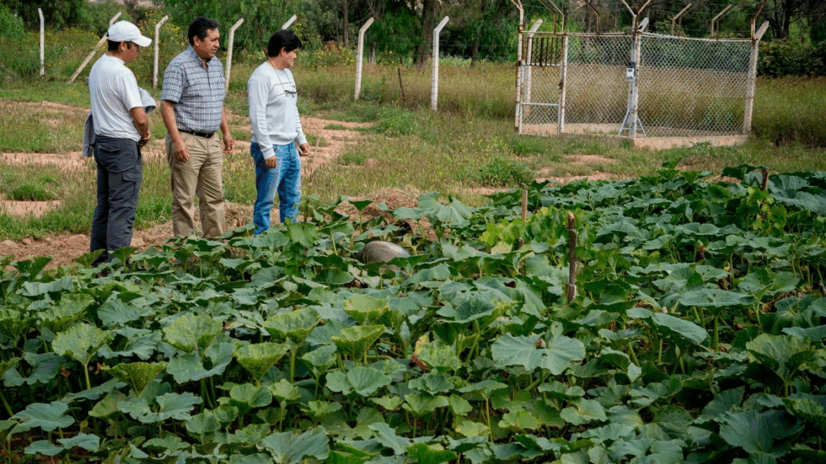 Pequeños productores tiran cosechas y preparan movilización