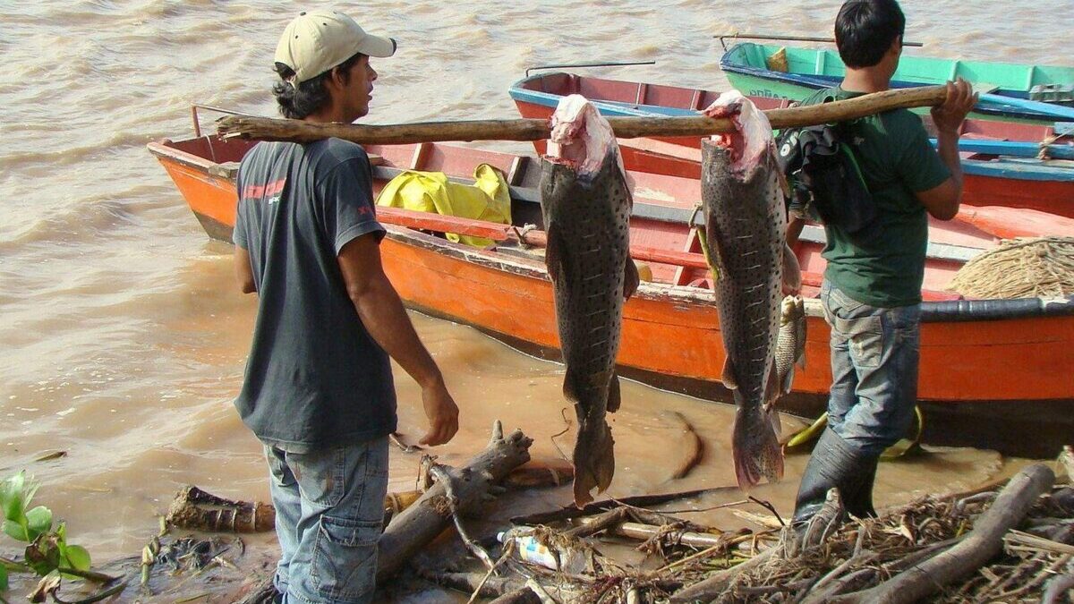 Pescadores de San Antonio reclaman apoyo ante inicio de la veda