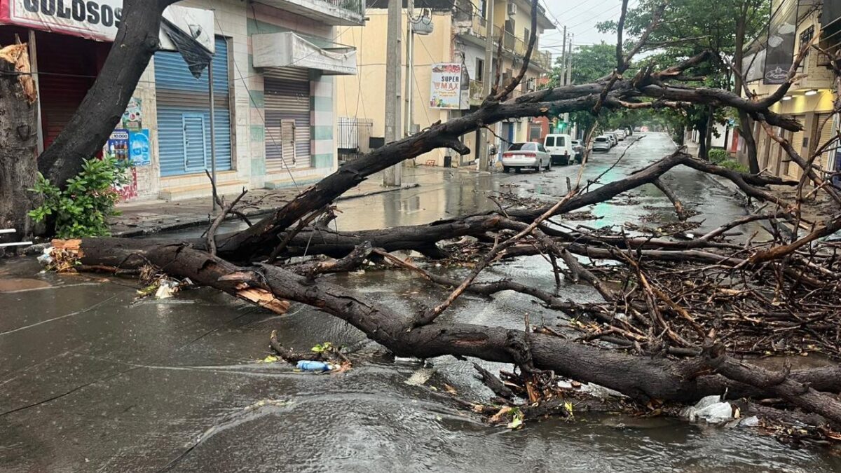 Calles bloqueadas y trabajos de emergencia tras el temporal