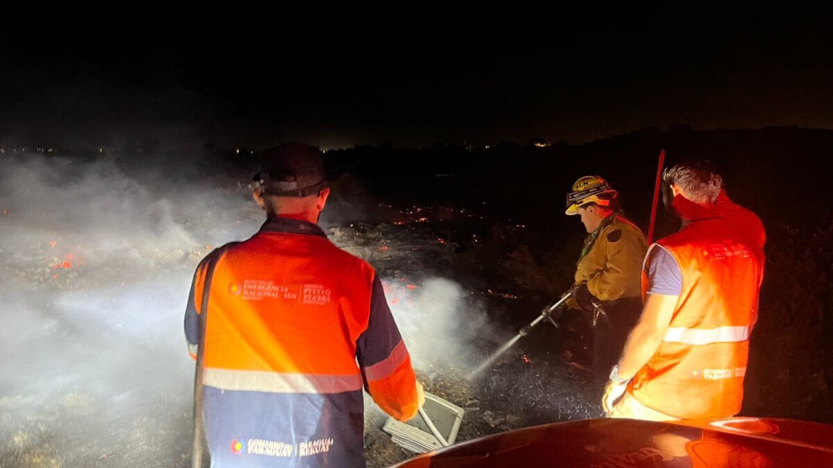 Incendio en la Costanera Sur: Bomberos controlaron el siniestro