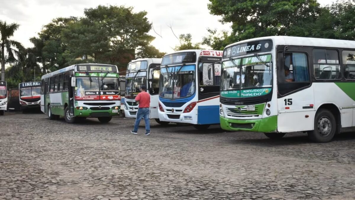 “Asunción al borde del colapso a falta de buses internos”