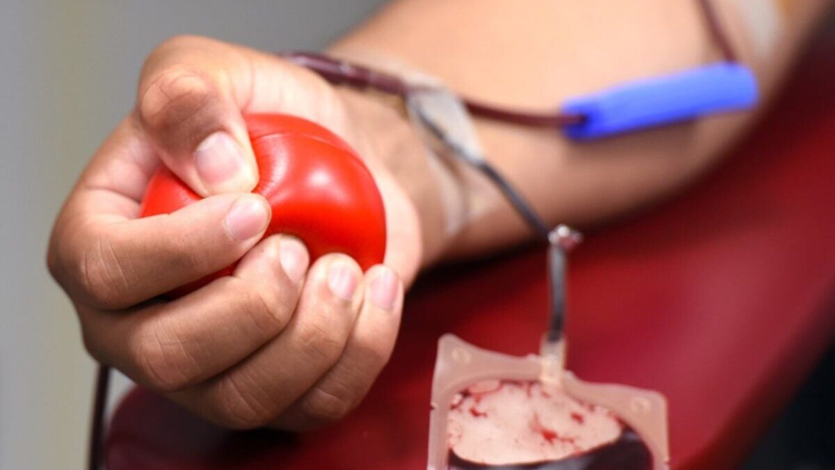 Donar sangre: puede ser “un regalo de Navidad” que salva vidas