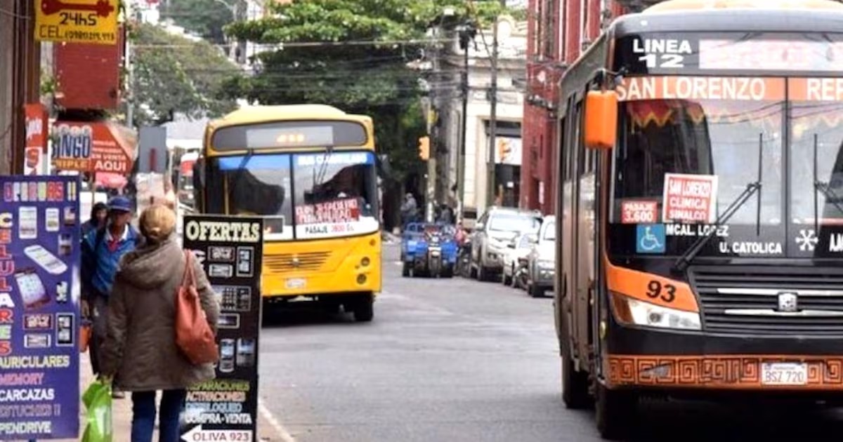 Paro transporte: “unos 3.000 choferes” se pliegan a la medida