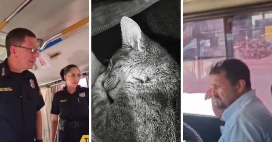 Policía revisa actuación tras incidente con mascota en colectivo