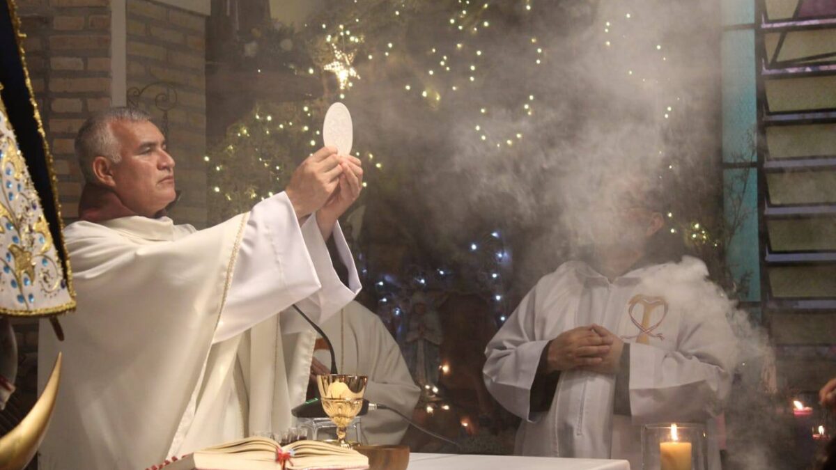 Pidamos ser sanados del pecado por el único “médico y medicina”