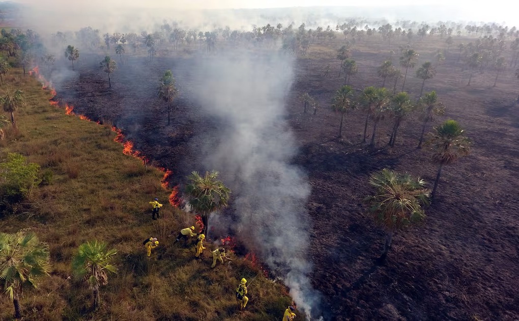 Temporada de incendios: en Chaco’i ya afectó 330 hectáreas