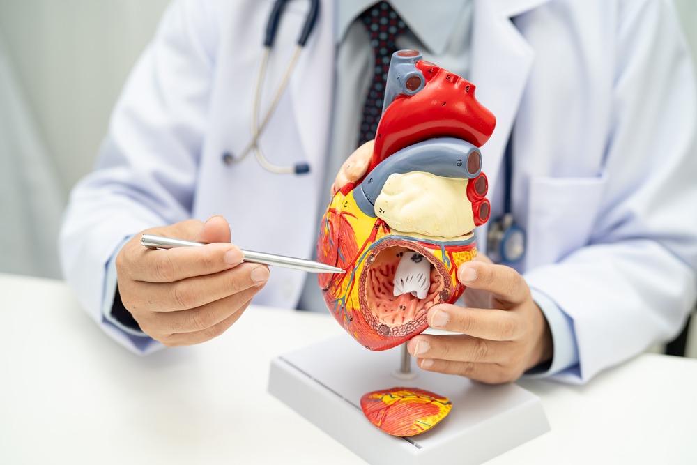 Más allá del infarto: cómo cuidar el corazón a tiempo