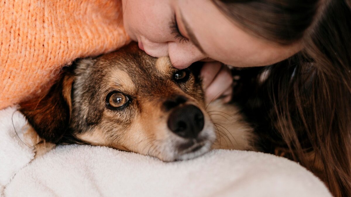 Animales como seres sintientes: un cambio en la conciencia social