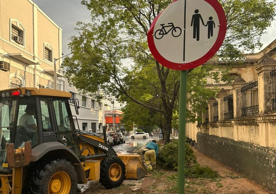 Municipalidad continúa despeje de calles tras fuerte temporal de ayer