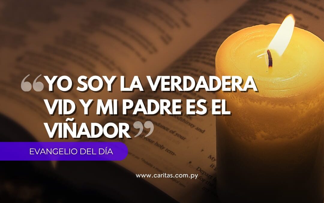 Yo soy la verdadera vid y mi padre el viñador