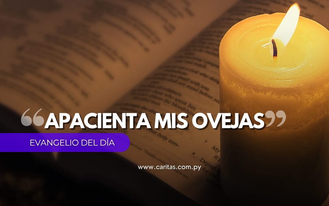 Apacienta mis ovejas
