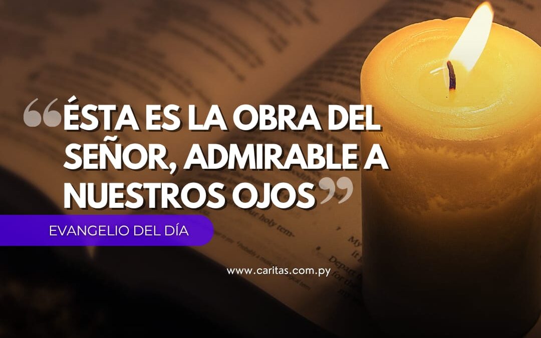 Ésta es la obra del Señor, admirable a nuestros ojos