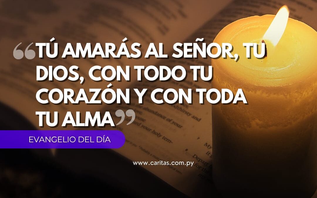 Tú amarás al Señor, tu Dios, con todo tu corazón y con toda tu alma