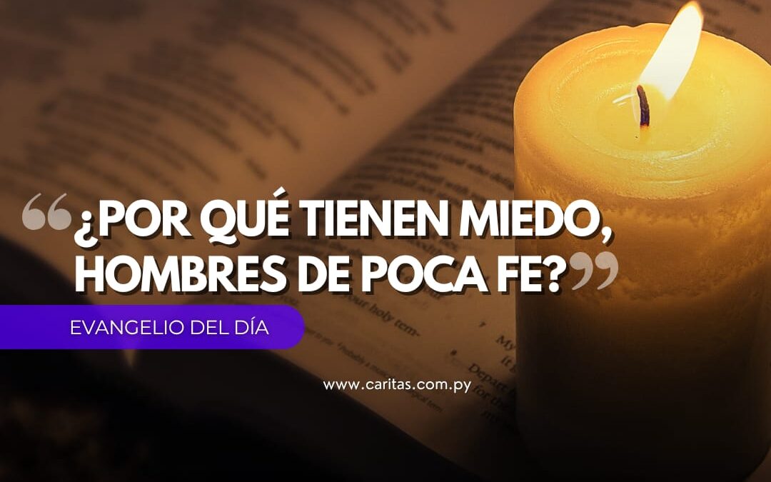 ¿Por qué tienen miedo, hombres de poca fe?