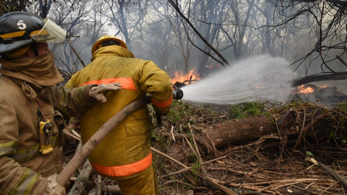 Incendios forestales: piden actuar rápido ante cualquier foco