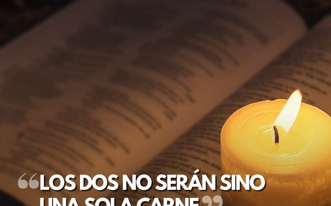Los dos no serán sino una sola carne