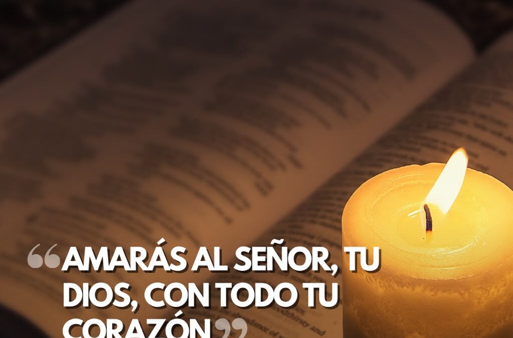 Amarás al Señor, tu Dios, con todo tu corazón